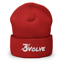 Load image into Gallery viewer, Cuffed Beanie
